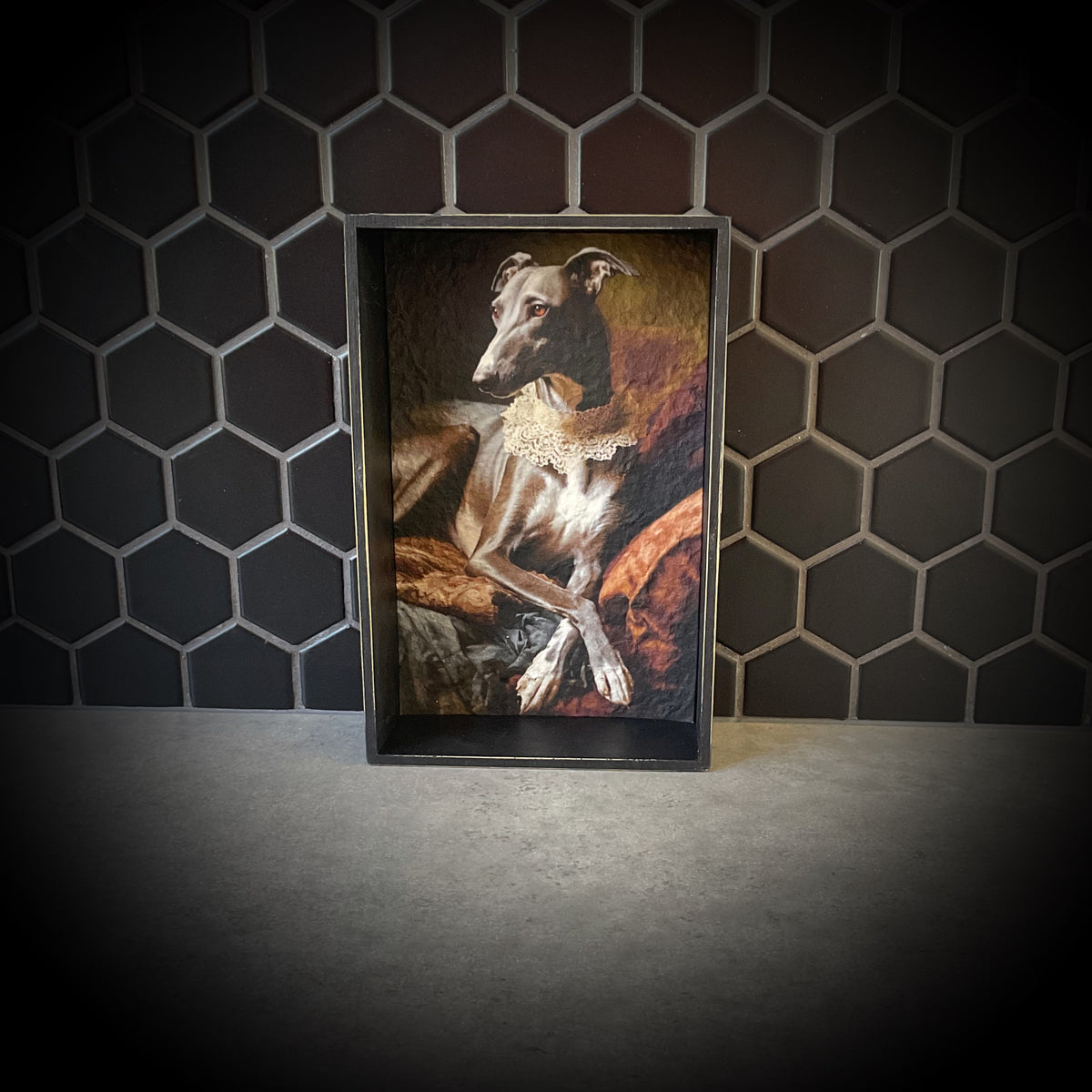Regal Greyhound V3 Shadowbox