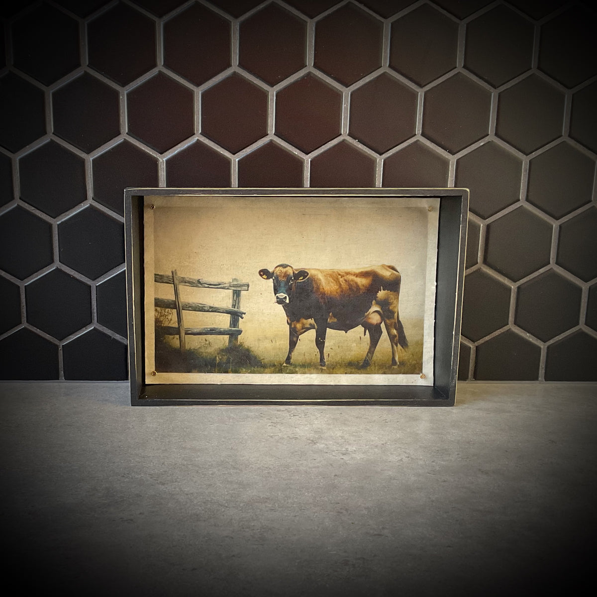 Dairy Cow Waxwork Shadowbox