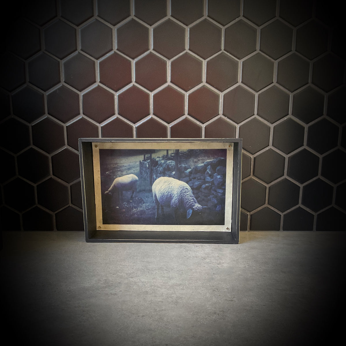 Moody Evening Sheep Waxwork Shadowbox
