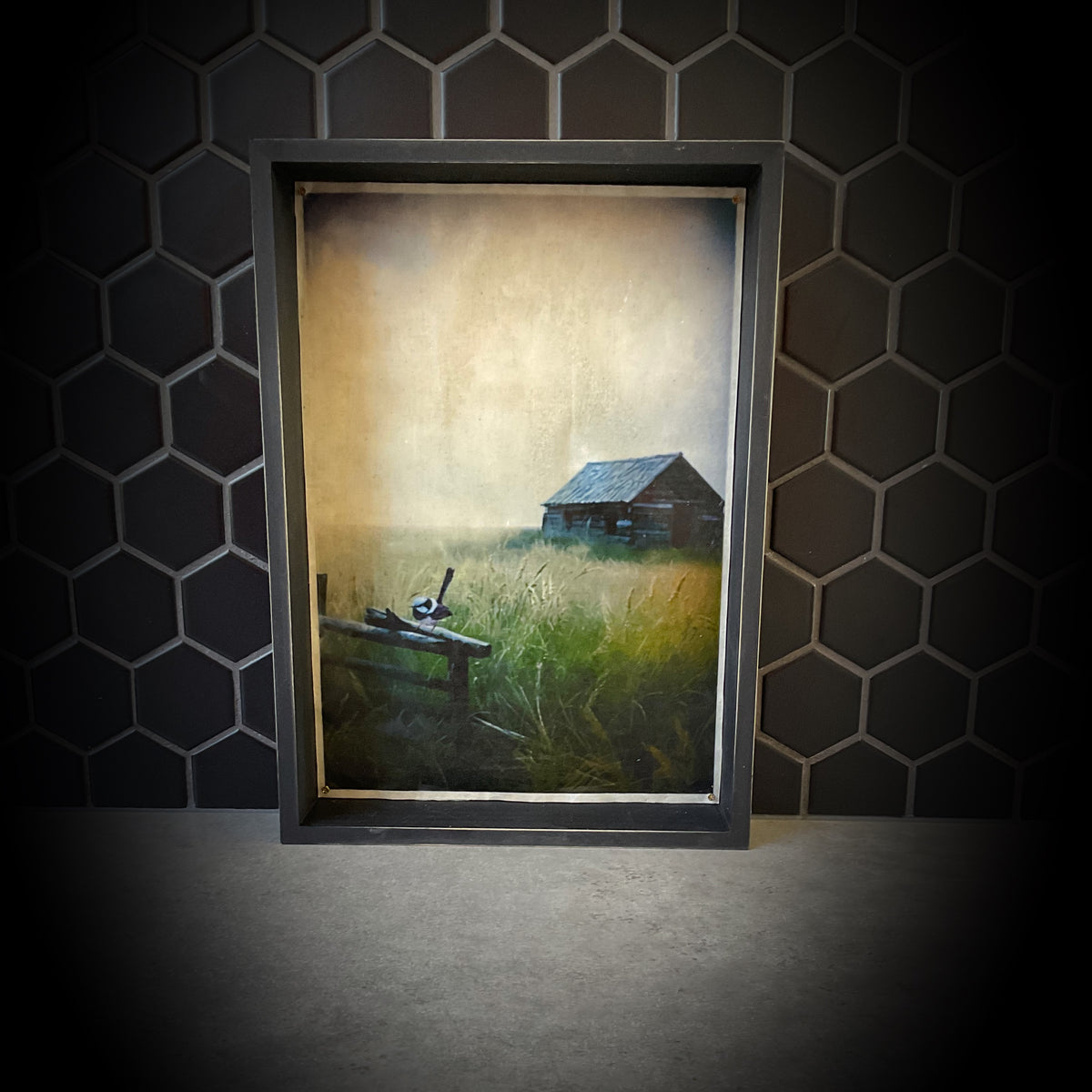 Blue Wren Waxwork Shadowbox