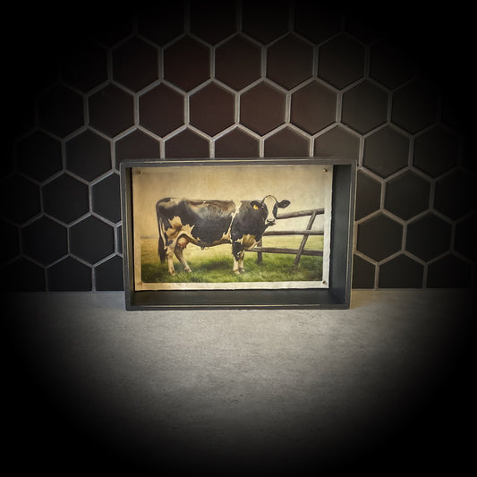 Dairy Cow  V2 Waxwork Shadowbox