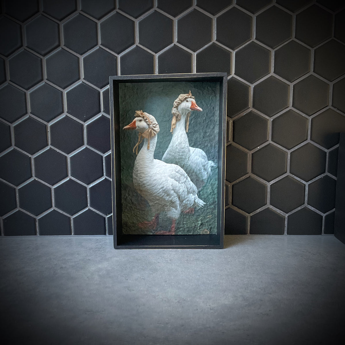 What’s Good for the Goose…. Shadowbox