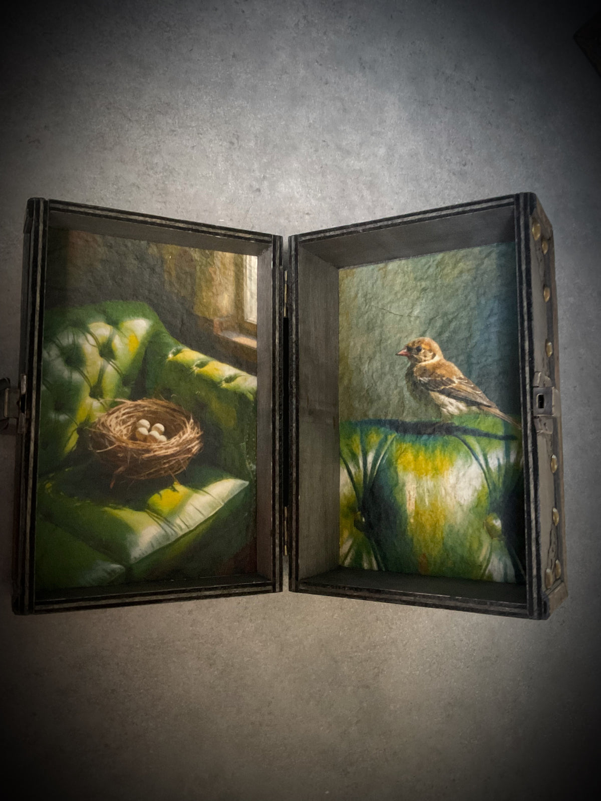 Green Sofa Bird & Nest Shadow Jewellery Box