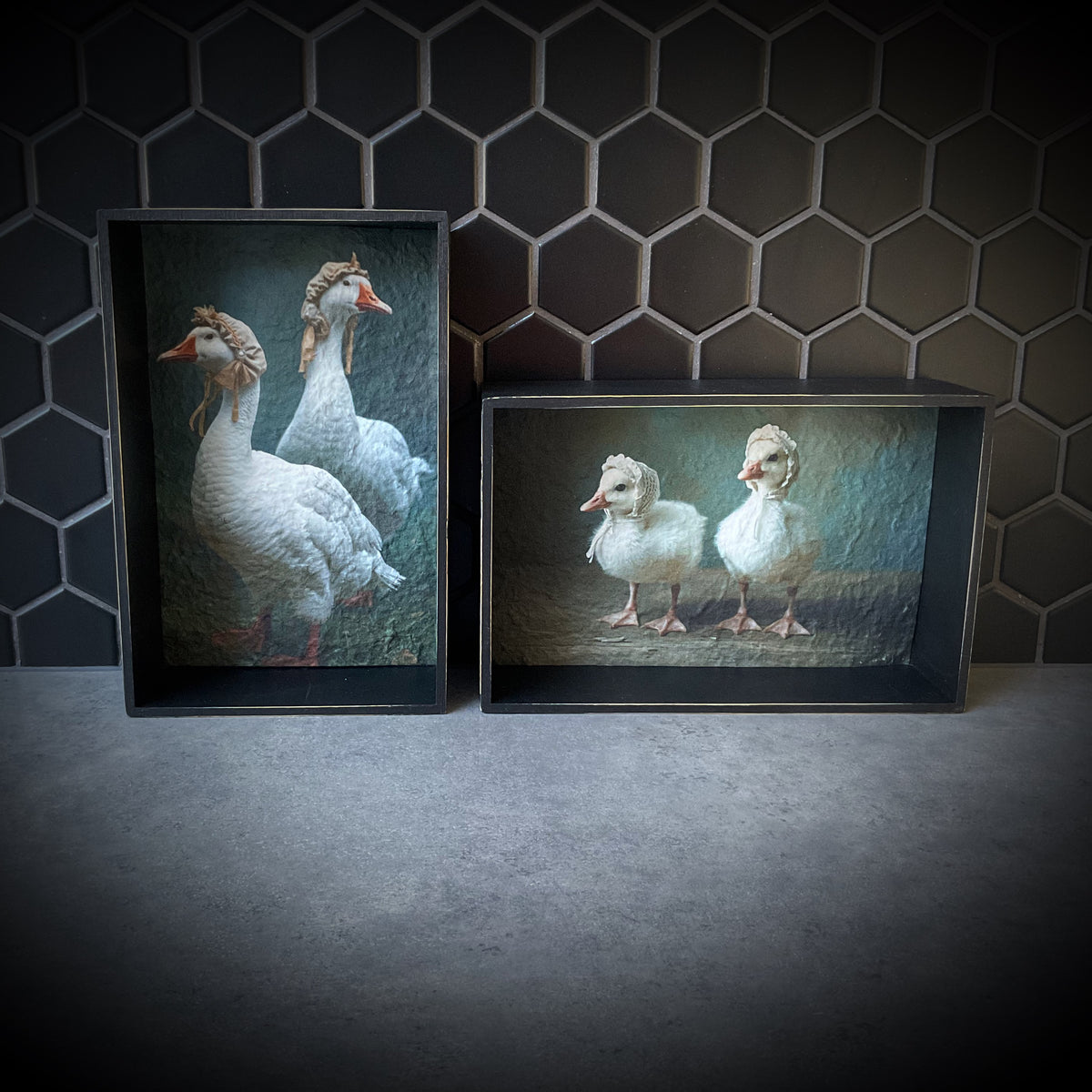 What’s Good for the Goose…. Shadowbox