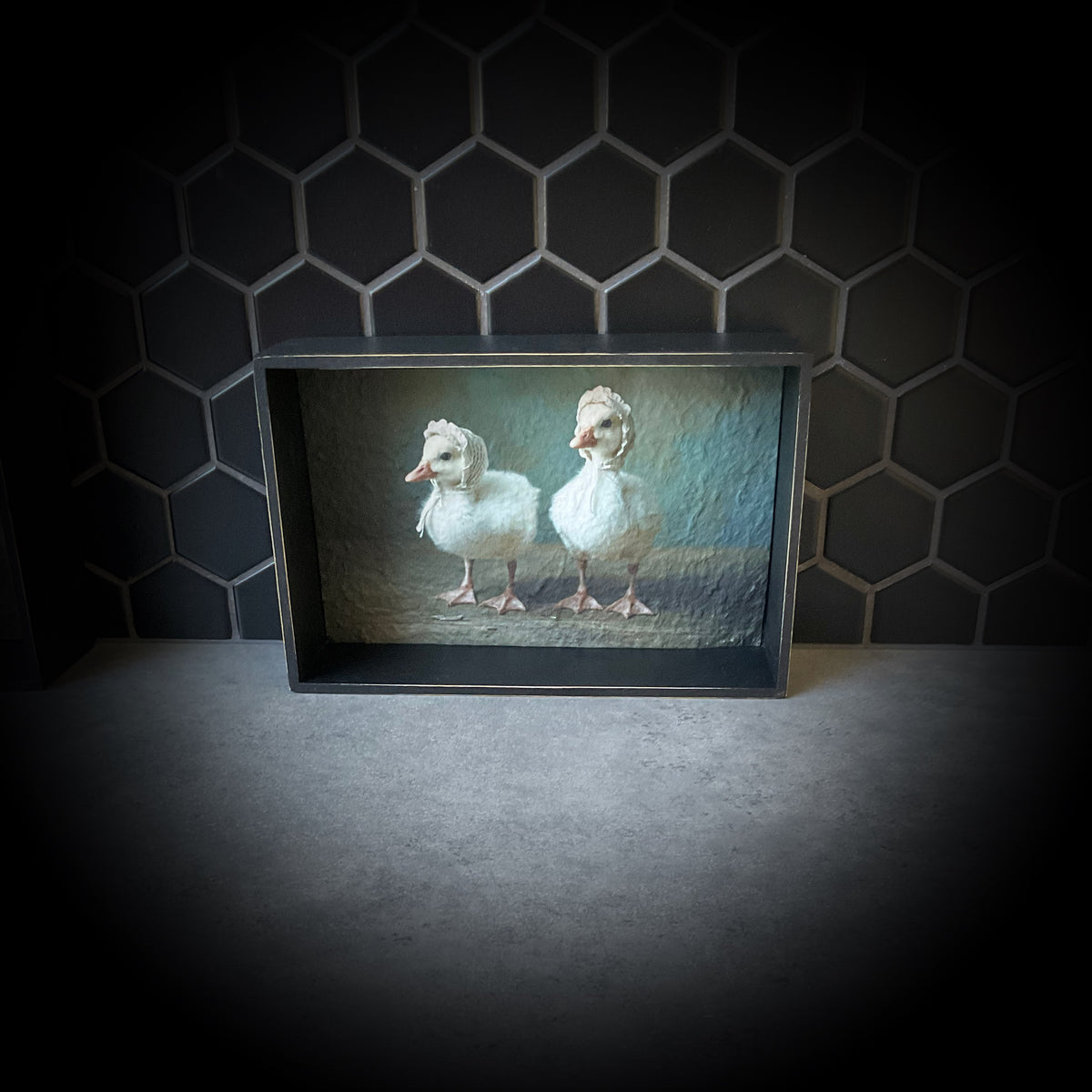 What’s Good for the Goose…. Shadowbox
