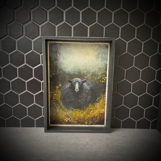 Black Sheep of the Family Waxwork Shadowbox