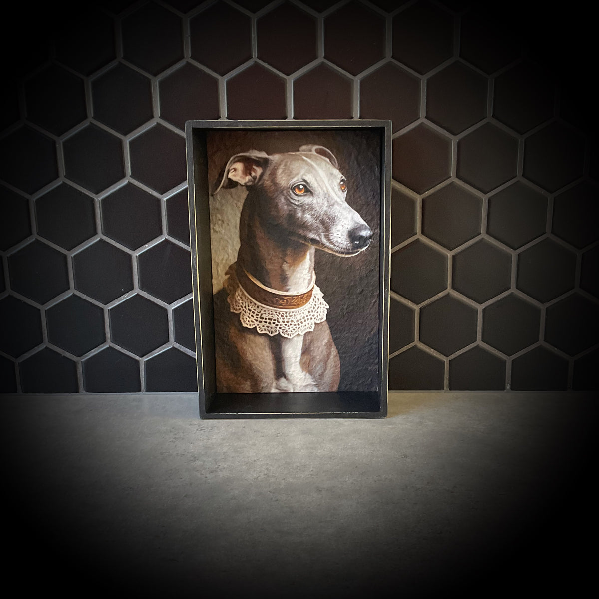 Regal Greyhound V1 Shadowbox