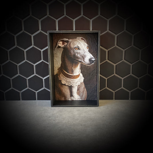Regal Greyhound V1 Shadowbox