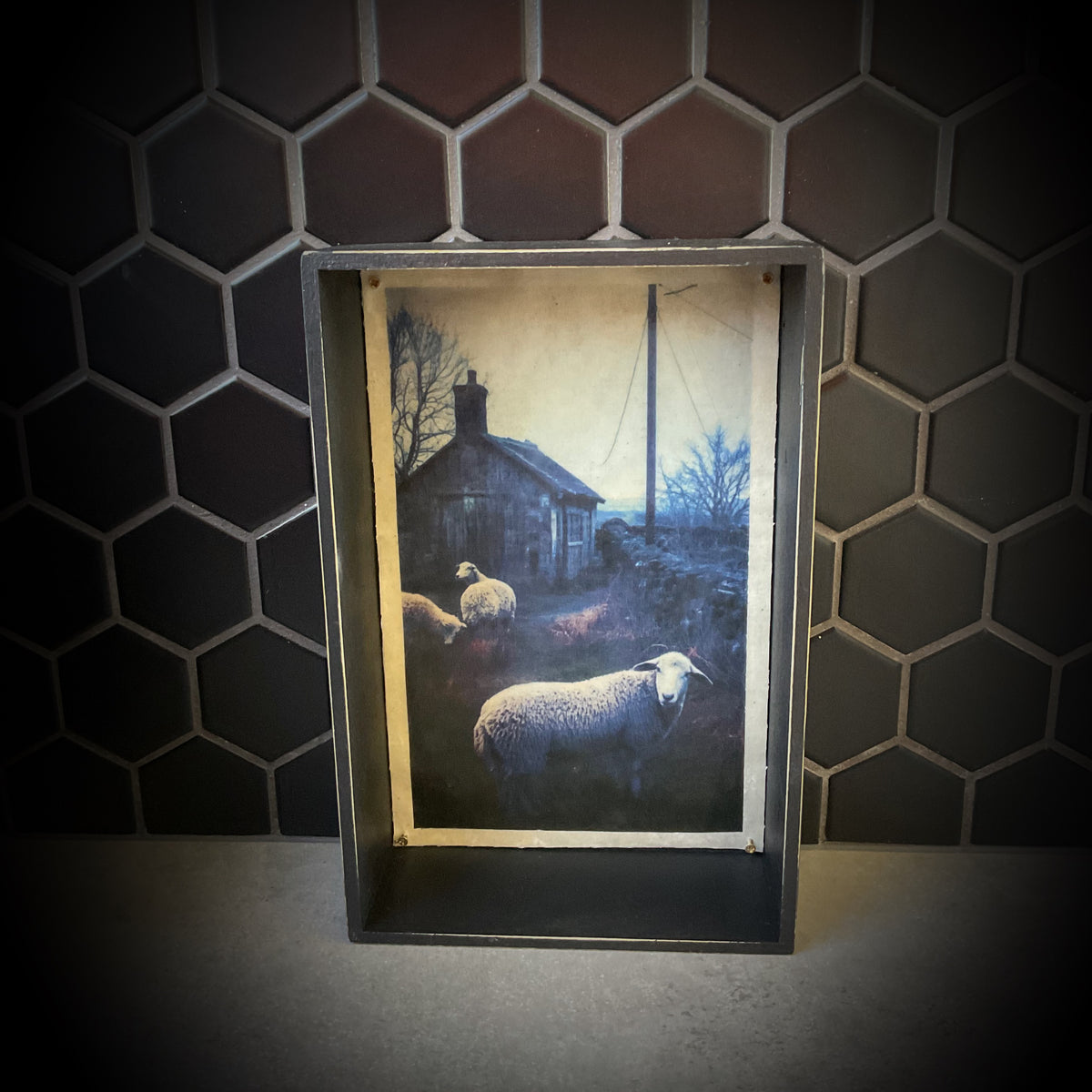 Moody Evening Sheep Waxwork Shadowbox