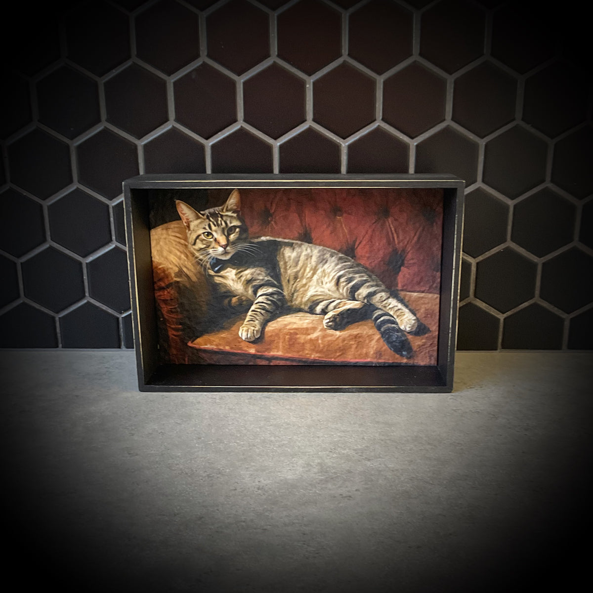 It’s Billy Cat Shadowbox