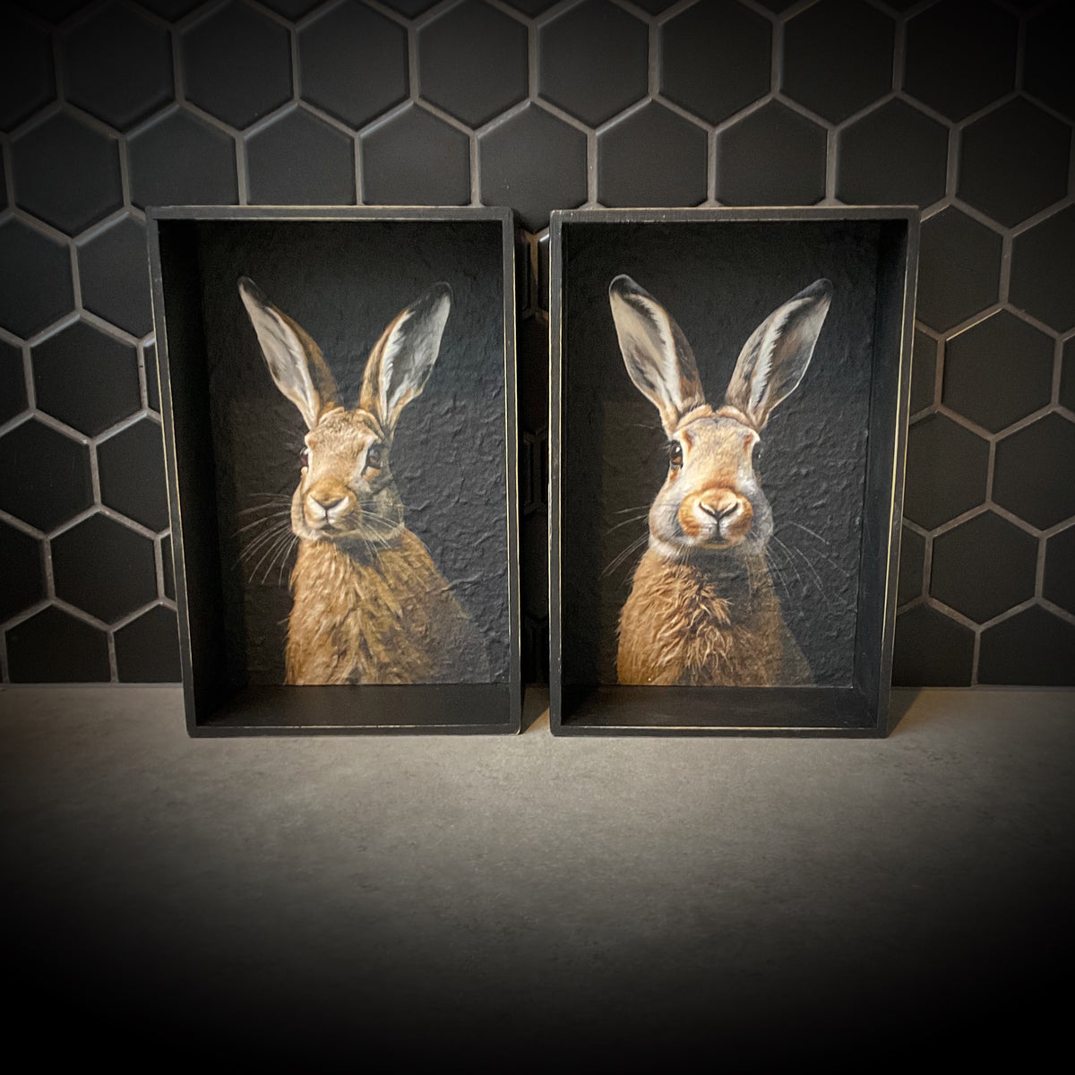 The Moody Hare Shadowbox