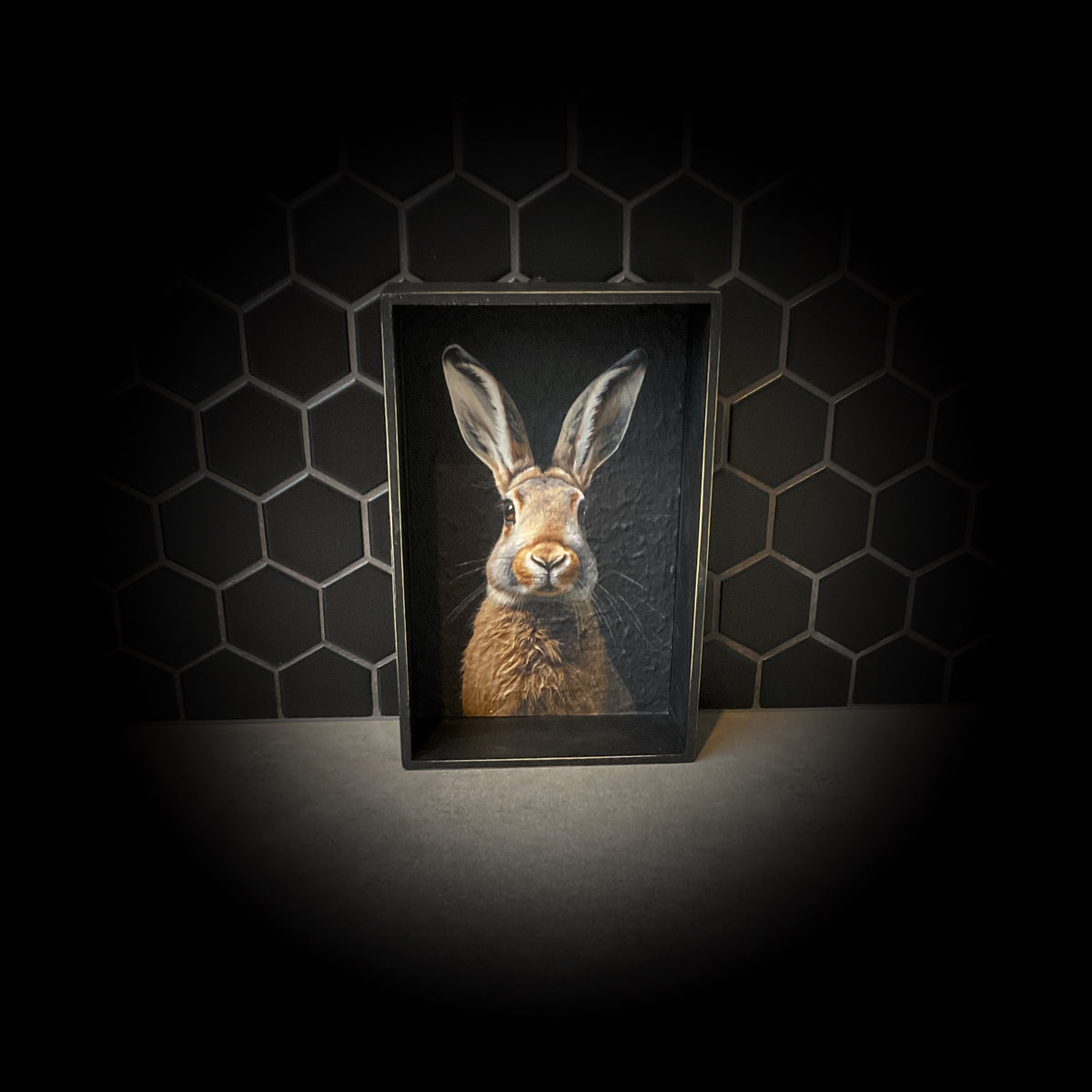 The Moody Hare Shadowbox